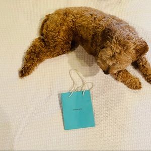 Tiffany & Co Gift Bag - Never Used